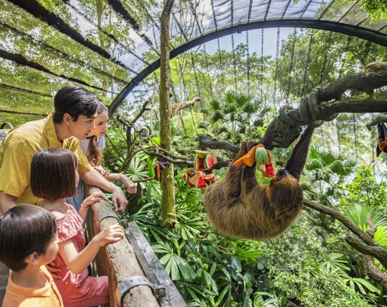 世界でも珍しい 柵のない動物園「シンガポール動物園」